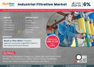 Read more about the article Analyzing the Industrial Filtration Market Size: Analysing the USD 37.08 BILLION IN 2024 and Forecast for 2024-30