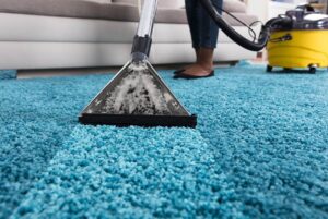 Read more about the article Why Professional Carpet Cleaning Is Essential for a Fresh Home Appearance