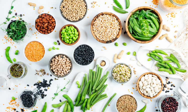 You are currently viewing Agricultural Micronutrients Market Size and Share Report 2024-2032