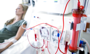 Read more about the article Global Dialysis Market Size and Share Report 2024-2032