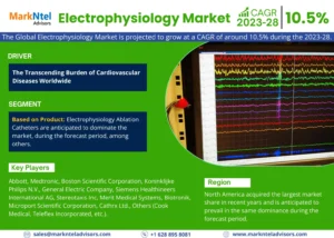 Read more about the article Global Electrophysiology Market Share Analysis – Industry Trends and Forecast to 2028