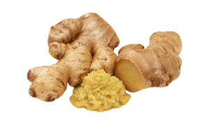 Read more about the article Global Ginger Market Size and Share Report 2024-2032