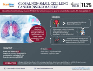 Read more about the article Global Non-Small Cell Lung Cancer Market Share Analysis – Industry Trends and Forecast to 2027