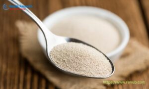 Read more about the article Global Yeast Market Size and Share Report 2024-2032