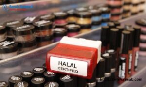 Read more about the article Halal Cosmetics Market Size and Share Report 2024-2030