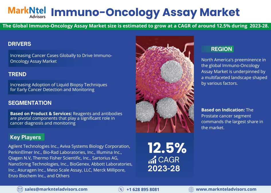 Read more about the article Navigating Immuno-Oncology Assay Market Trends: USD 5.77 BILLION IN 2024 and Boasting a 12.5% CAGR Projections by 2028