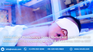 Read more about the article Infant Phototherapy Device Market Size and Share Report 2024-2032