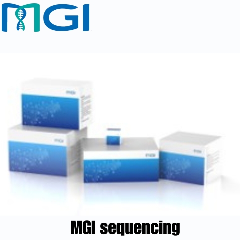 Read more about the article Unlock the Full Potential of Your Genomic Research with MGI Sequencing: Advanced Technology, Unmatched Accuracy, and High-Throughput Solutions