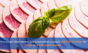 Read more about the article Saudi Arabia Processed Meat Market Share and Size Forecast Report 2024-2032