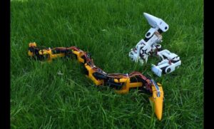 Read more about the article Global Snake Robot Market Size – Trends & Growth 2032