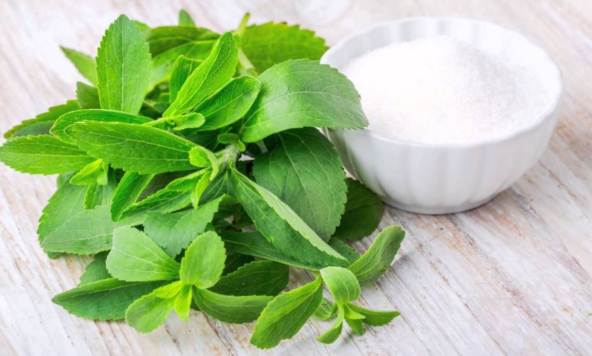 You are currently viewing Stevia Market Size, Share | Growth 2032