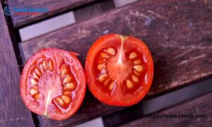 Read more about the article Tomato Seeds Market Size and Share Report 2024-2032