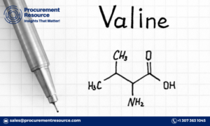 Read more about the article Valine Price Trend Report: Insights and Forecast for 2024