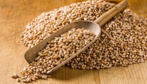 Read more about the article Wheat Protein Market – Size, Share & Analysis 2032