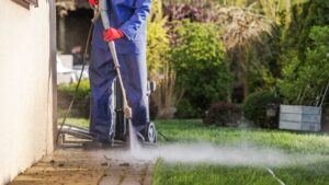 Read more about the article The Benefits of Professional House Washing Service in Hamilton