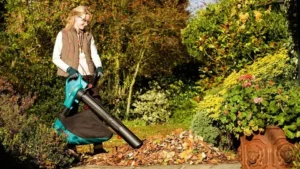 Read more about the article Efficient Garden Vacuum Brisbane – Keep Outdoor Space Clean