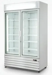 Read more about the article Double Glass Door Freezer | Efficient Cooling Solutions