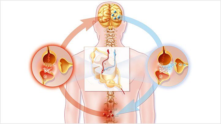 Read more about the article Gabapentin Healing Power: A Guide to Neuropathic Pain Treatment