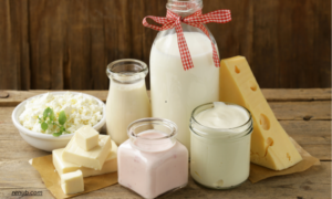 Read more about the article Organic Dairy Market Size and Share Report 2024-2032