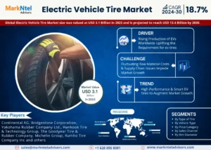 Read more about the article Electric Vehicle Tire Market Industry Analysis, Future Demand Projections, and Forecasts Until 2030