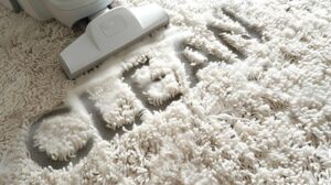 Read more about the article Professional Carpet Cleaning: A Necessity for Every Home’s Cleanliness