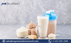 Read more about the article Cricket Protein Powders Market Size, Analysis, Trends, Growth & Industry Forecast 2024-2032