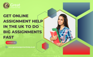 Read more about the article Get Online Assignment Help In the UK To Do Big Assignments Fast