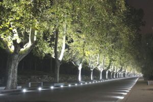 Read more about the article Top 6 Tips for the Durability of Underground Lighting