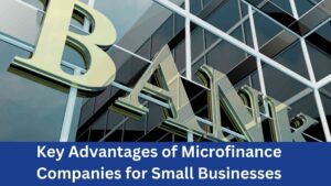 Read more about the article Key Advantages of Microfinance Companies for Small Businesses