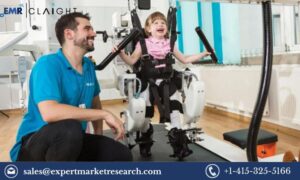 Read more about the article Neurorehabilitation Devices Market Size, Share, Growth, Report 2024-2032