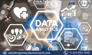 Read more about the article North America Clinical Data Analytics in Healthcare Market Report 2032