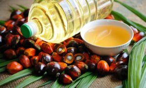 Read more about the article Palm Oil Market Size, Share & Growth Forecast 2032