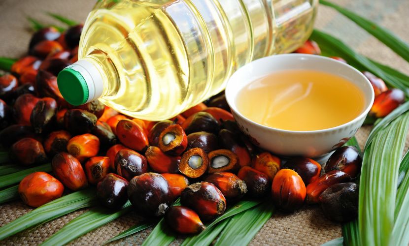 Read more about the article Palm Oil Market Size, Share | Report Forecast 2032