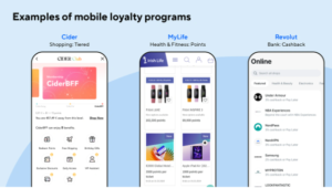 Read more about the article How to Develop a Mobile App for Customer Loyalty Programs