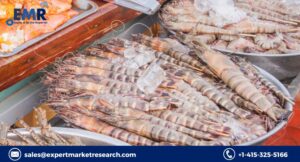 Read more about the article Shrimp Market 2024-2032: Growth Projections, Key Drivers, and Strategic Insights