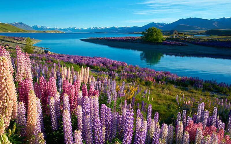 Read more about the article Top Tourist Attractions to Visit with Your New Zealand Visit Visa