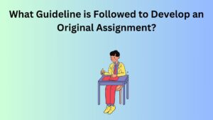 Read more about the article What Guideline is Followed to Develop an Original Assignment?