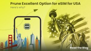 Read more about the article Buy United states eSIM Online