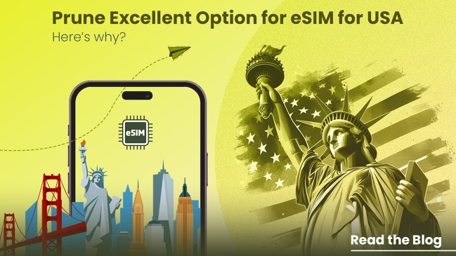 You are currently viewing Buy United states eSIM Online