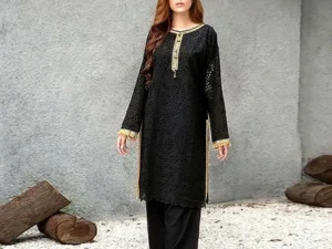 Read more about the article Your Guide to Buying Pakistani Chikankari Suits Online