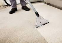 Read more about the article Why Carpet Cleaning Is Crucial for Maintaining Home Wellness