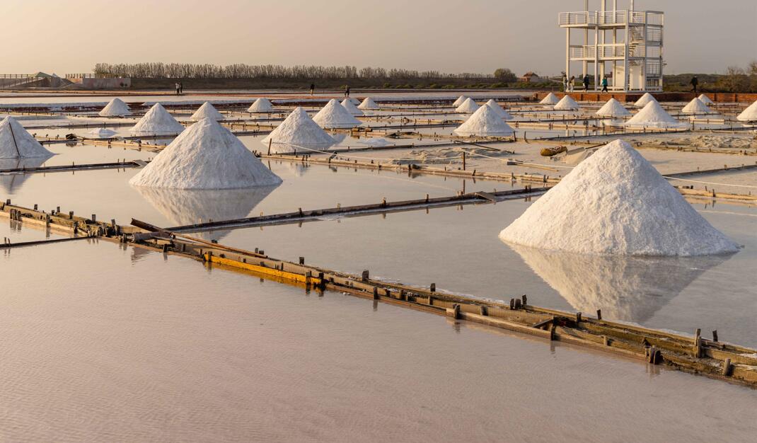 You are currently viewing How to know which salt exporters are the best?