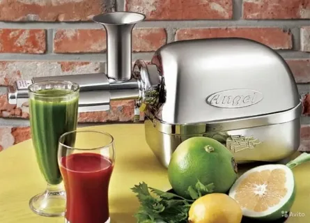 Read more about the article Slow Juicer Angel 8500s – Superior Juice Extraction