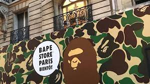 Read more about the article The Allure of the Bape Hoodie