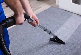 Read more about the article Why Professional Carpet Cleaning Is Important for Home Wellness