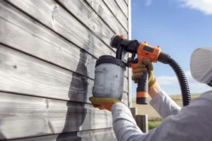 Read more about the article Boost Your Home Maintenance with a Sprayer