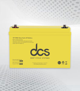 Read more about the article Why Choose Lithium Iron Phosphate Battery 12v 100ah