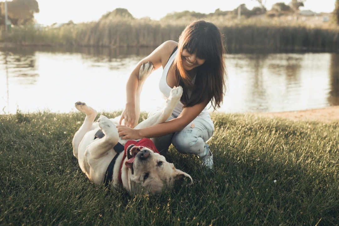 Read more about the article Essential Pet Care Tips for First-Time Pet Owners