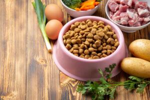 Read more about the article Choosing Natural Dog Food for Your Pet Has Many Advantages