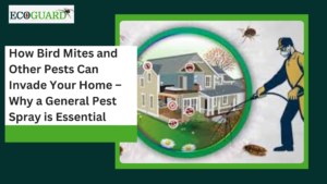 Read more about the article How Bird Mites and Other Pests Can Invade Your Home – Why a General Pest Spray is Essential